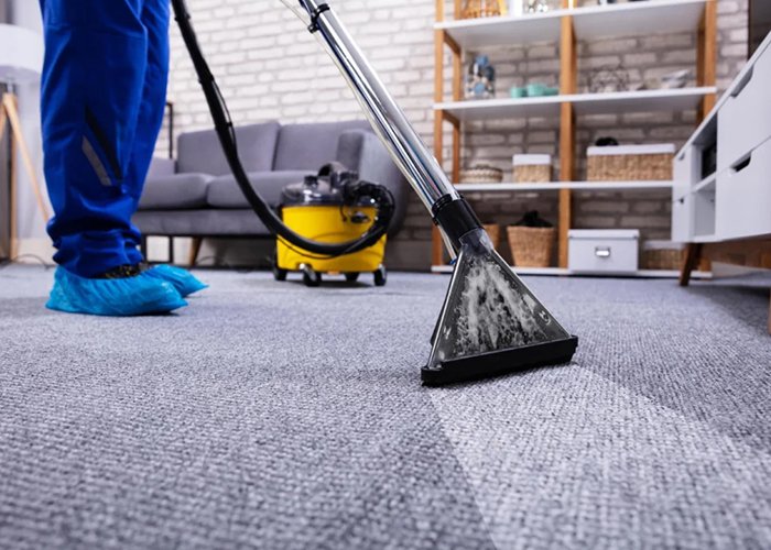 Professional Carpet Cleaning Services