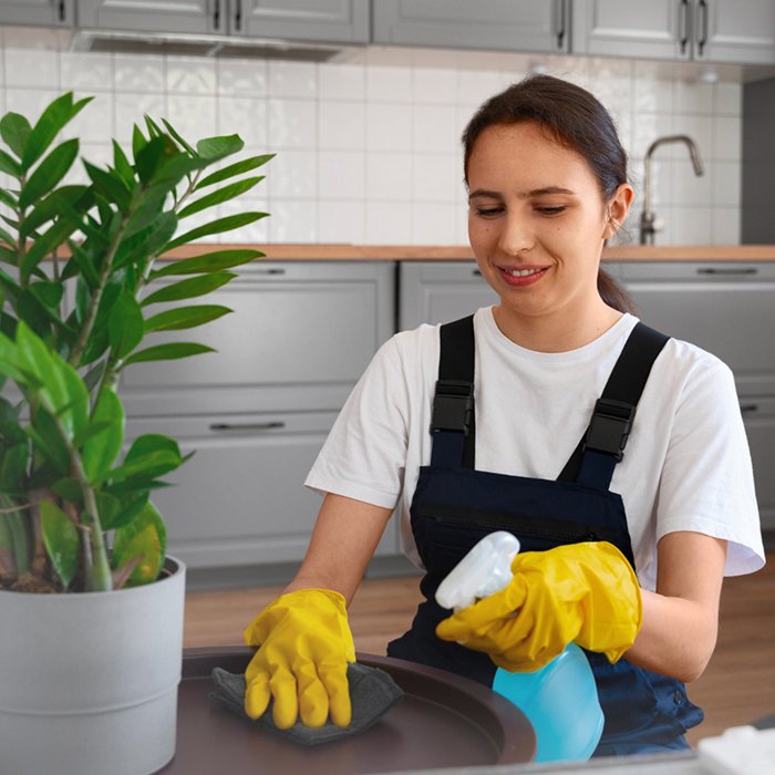Commercial Cleaning Services
