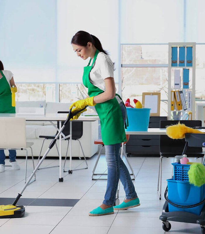 Spring & Regular Cleaning Process