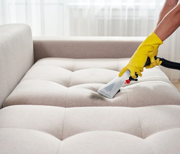 Professional Sofa and Upholstery Cleaning
